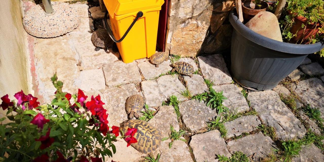 Il Giardino Dei Sospiri Villa Ragusa Exterior photo